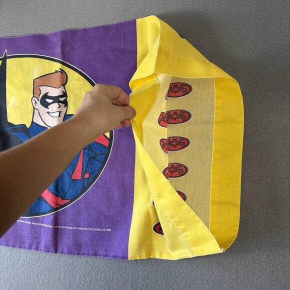 Vintage Batman & Robin, Mr. Freeze Standard Pillowcase 1996 DC Comics Retro - Picture 8 of 10